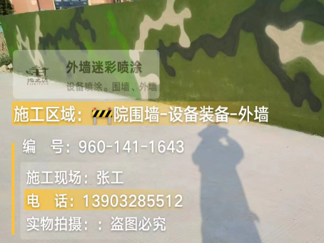 枣庄 迷彩漆喷涂价格（按平方米计费）