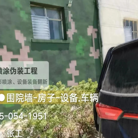 枣庄数码迷彩漆施工